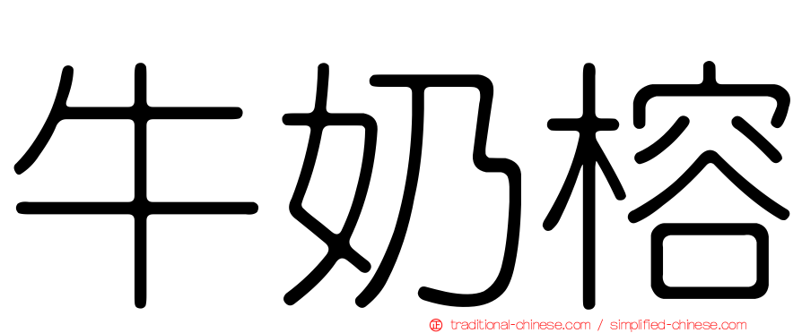 牛奶榕