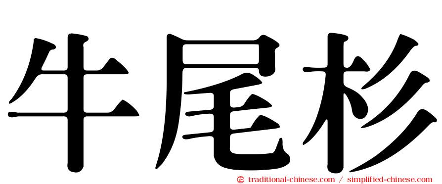 牛尾杉