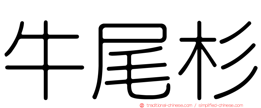 牛尾杉