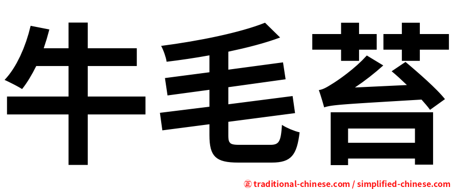 牛毛苔
