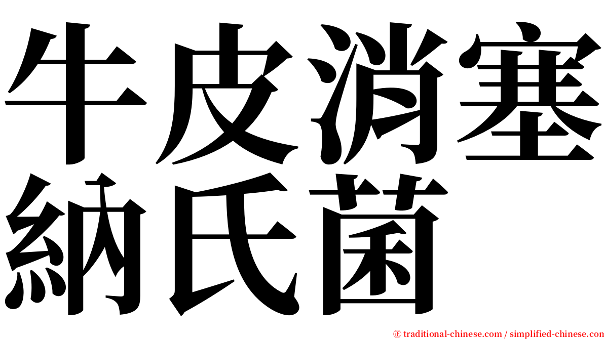 牛皮消塞納氏菌 serif font