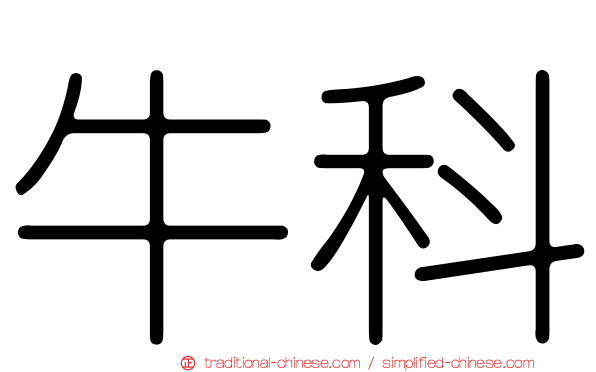 牛科