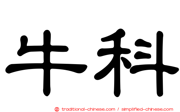 牛科