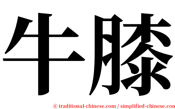 牛膝 serif font