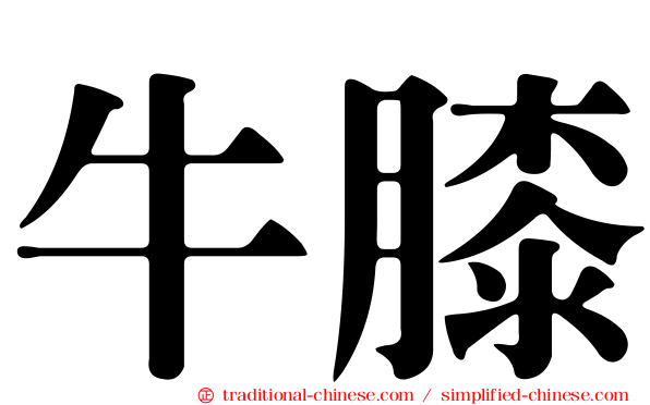 牛膝