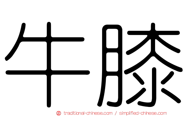 牛膝