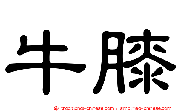 牛膝