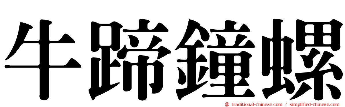 牛蹄鐘螺