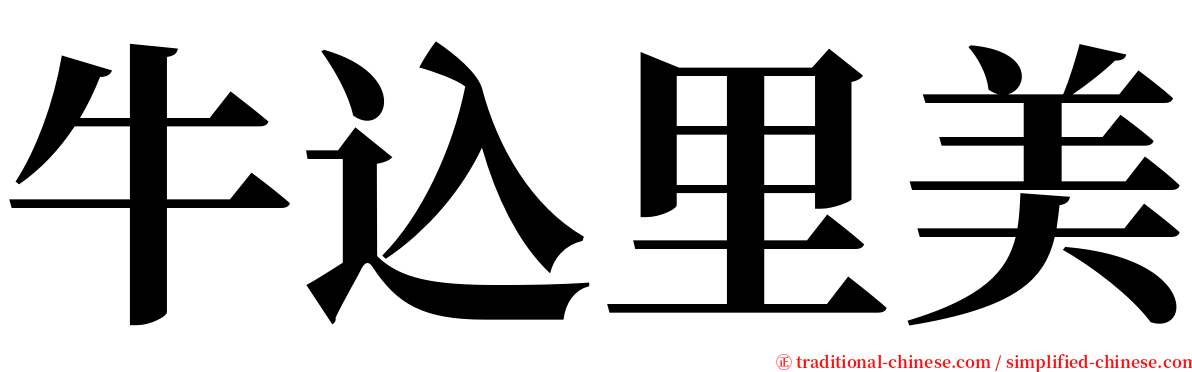 牛込里美 serif font