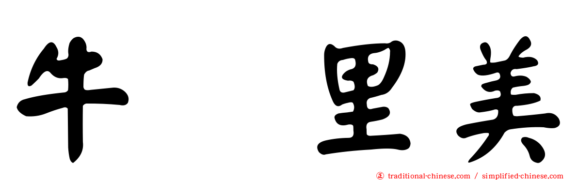 牛込里美