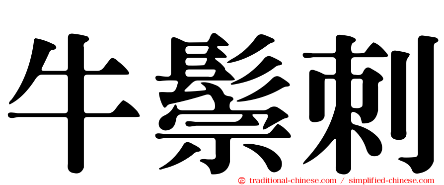牛鬃刺