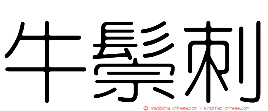 牛鬃刺