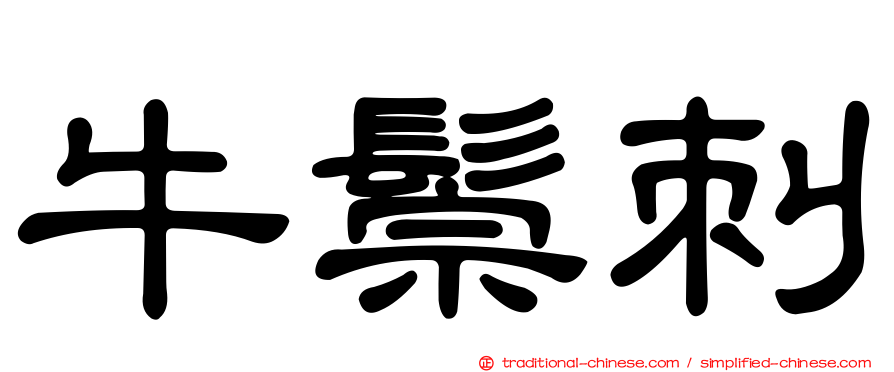 牛鬃刺