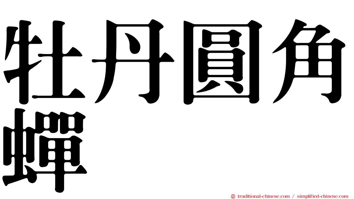 牡丹圓角蟬