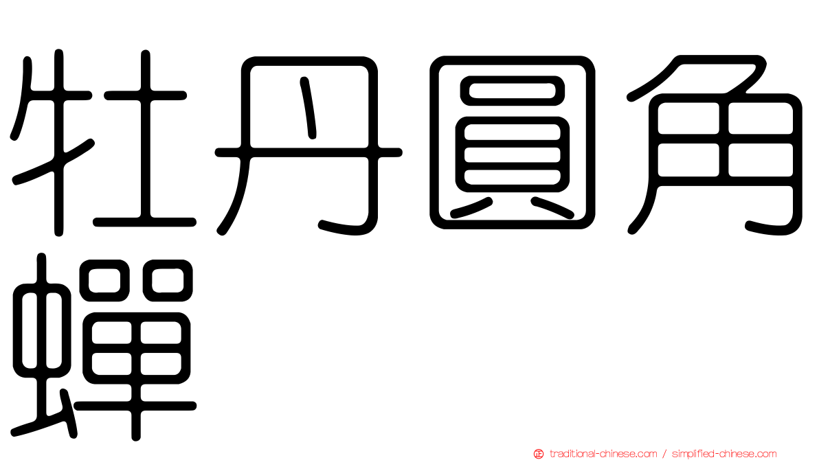 牡丹圓角蟬