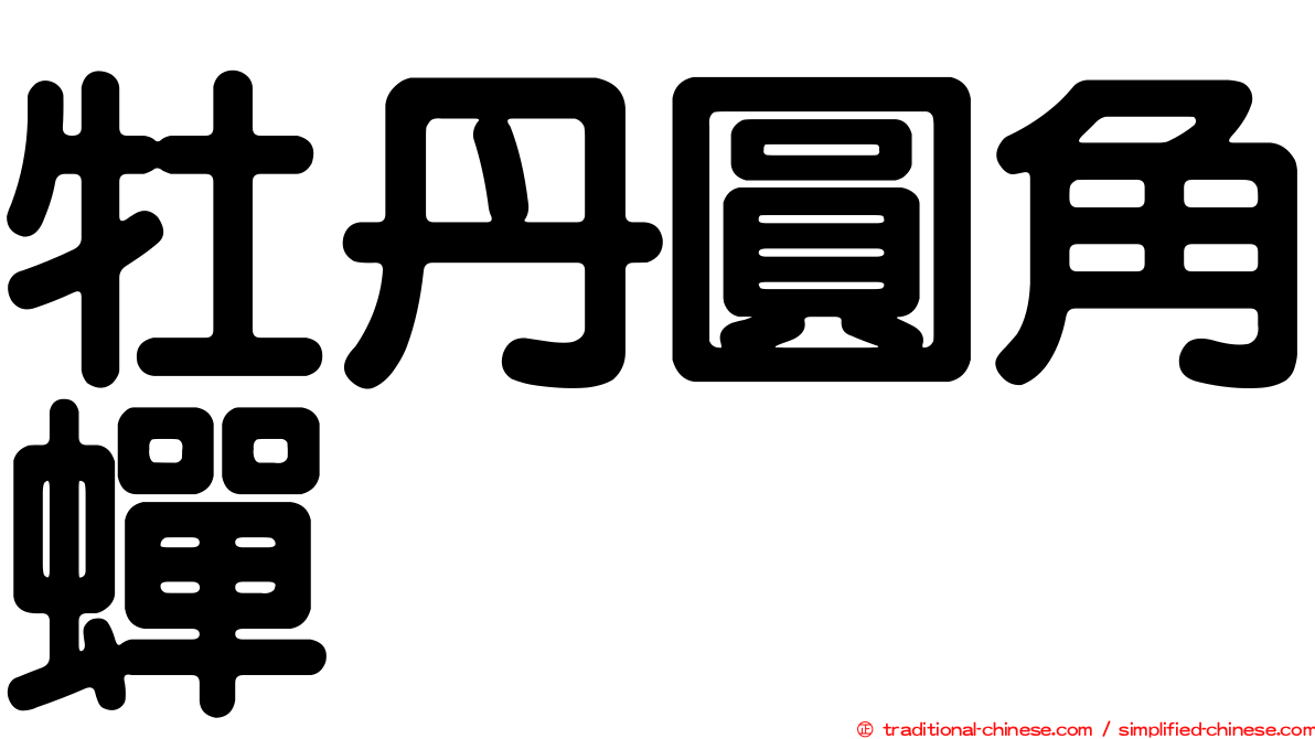 牡丹圓角蟬