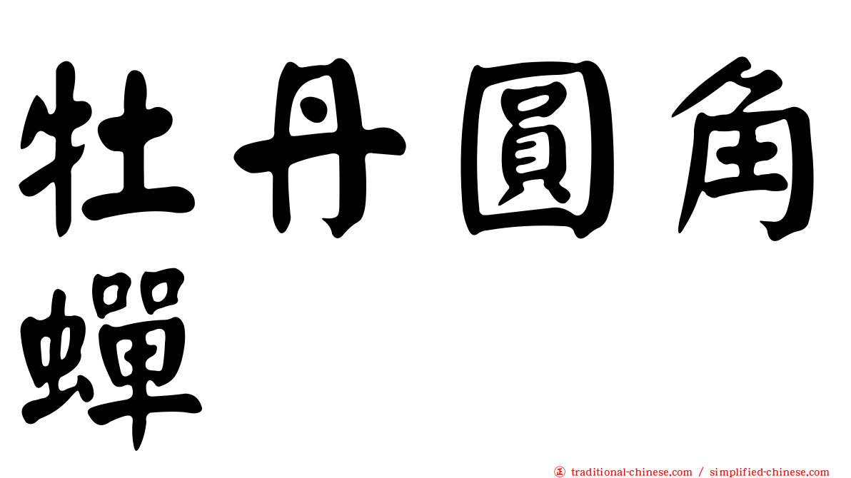 牡丹圓角蟬