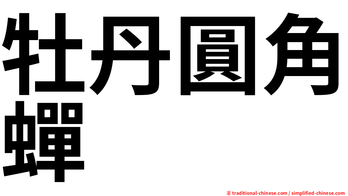 牡丹圓角蟬
