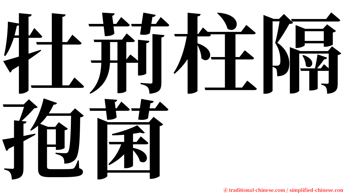 牡荊柱隔孢菌 serif font