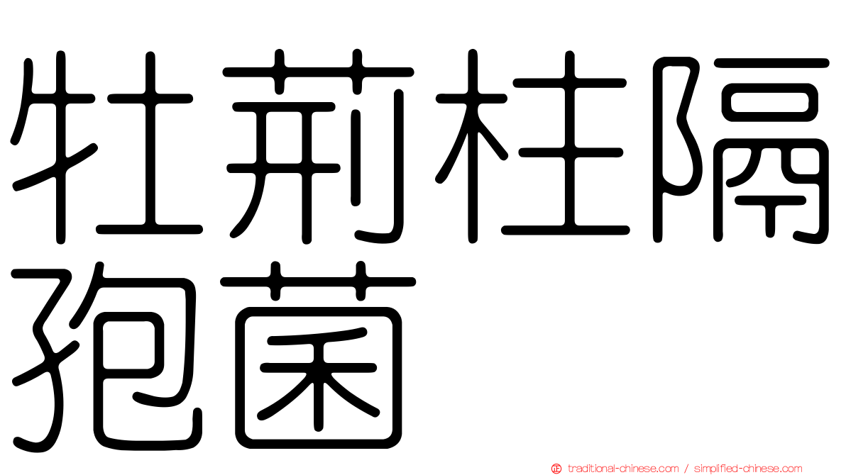牡荊柱隔孢菌