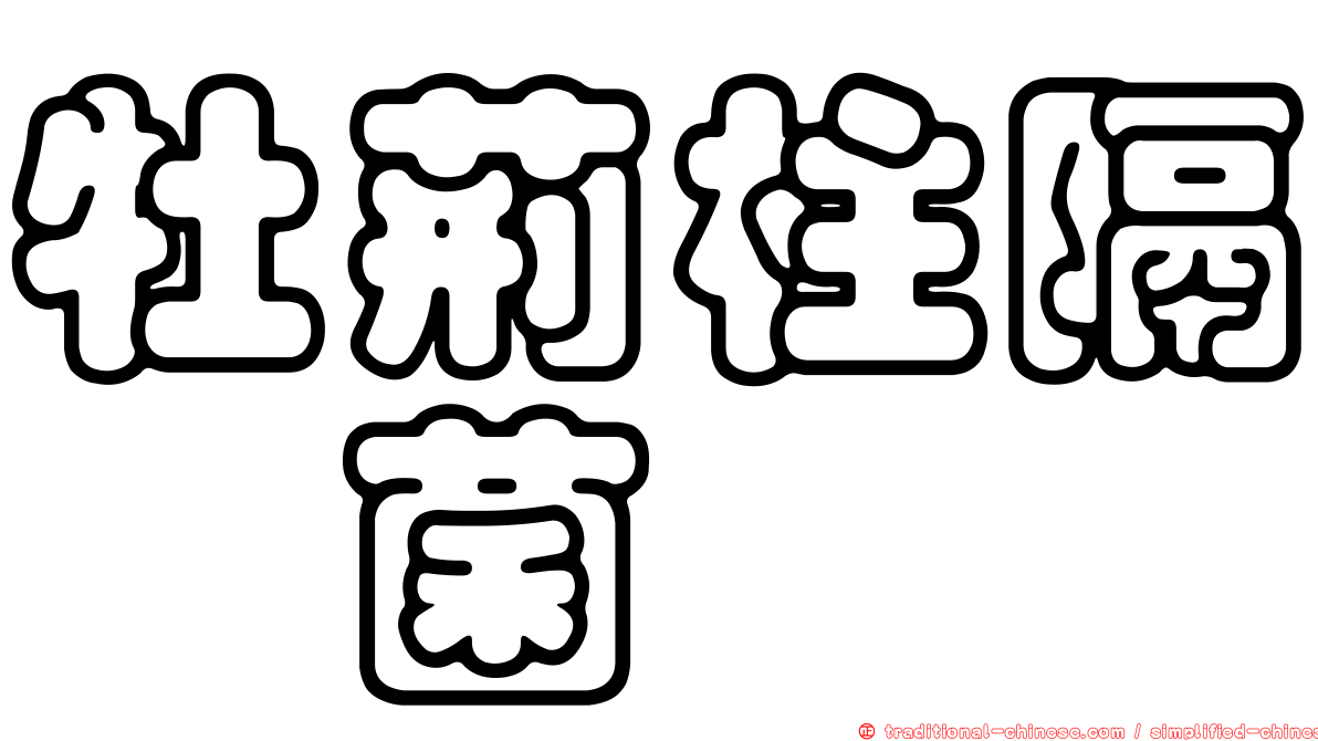 牡荊柱隔孢菌