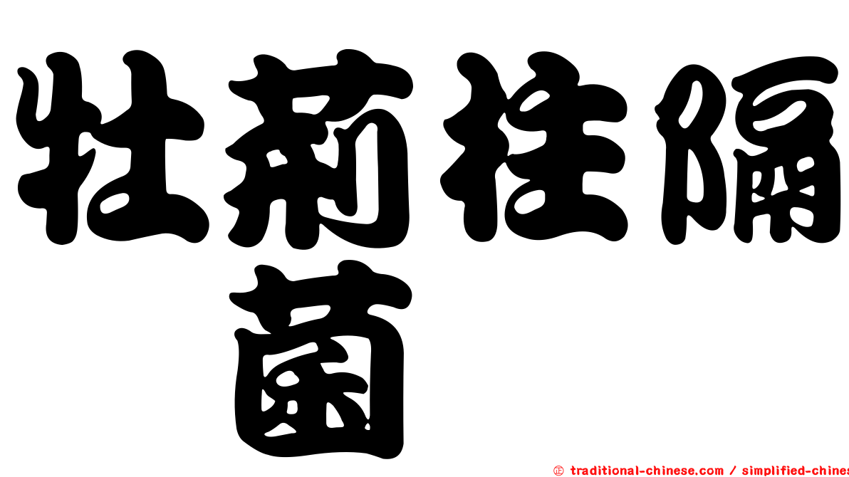 牡荊柱隔孢菌
