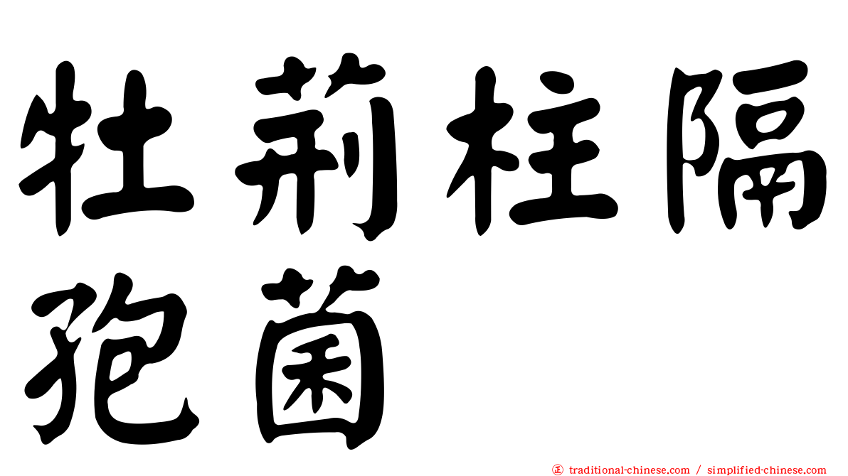 牡荊柱隔孢菌