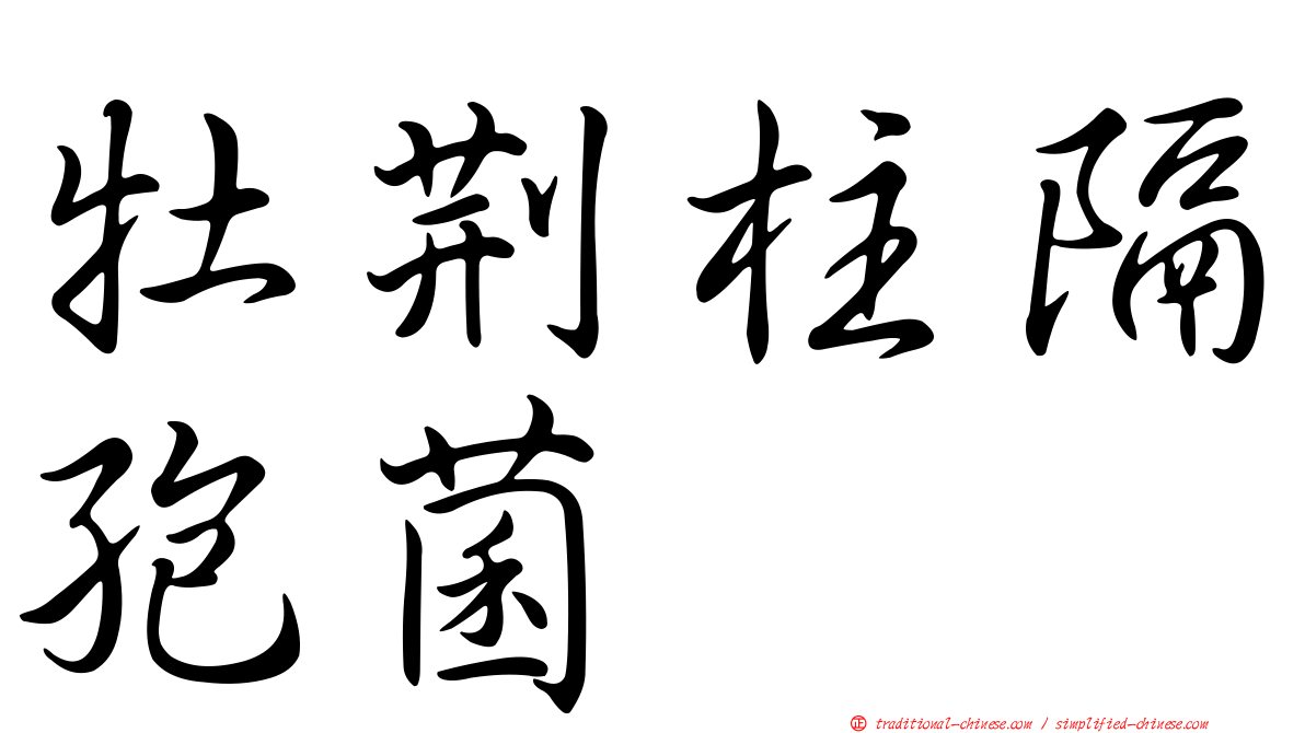 牡荊柱隔孢菌