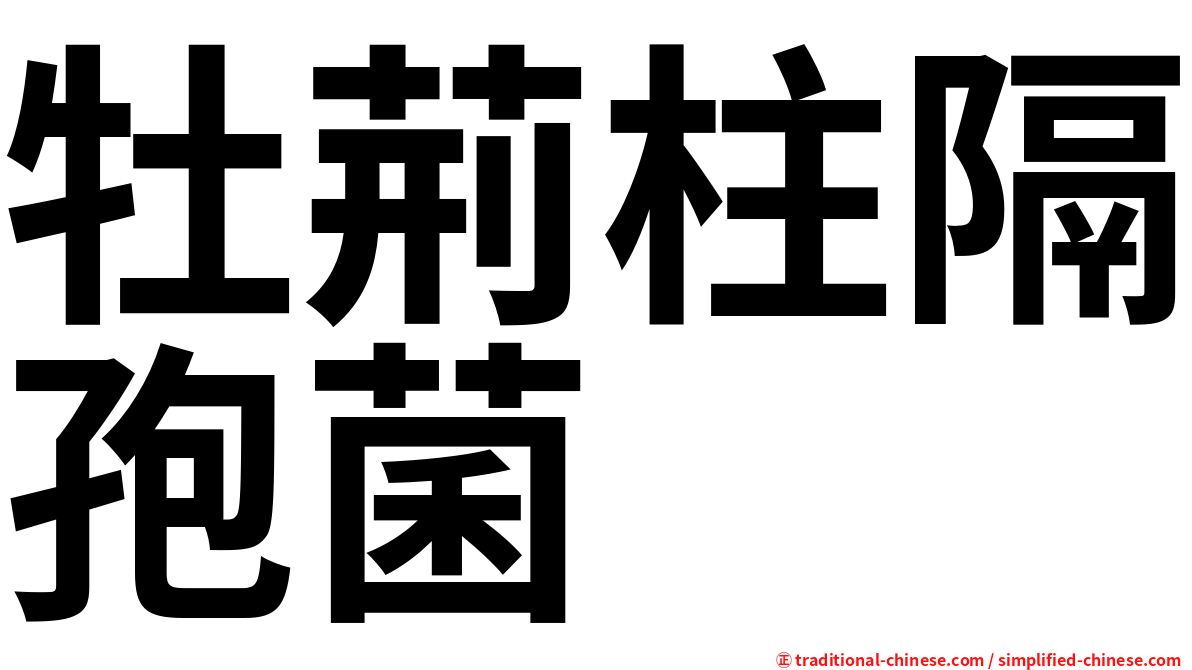 牡荊柱隔孢菌