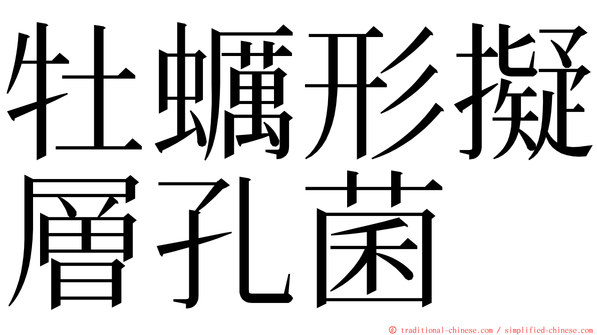 牡蠣形擬層孔菌 ming font
