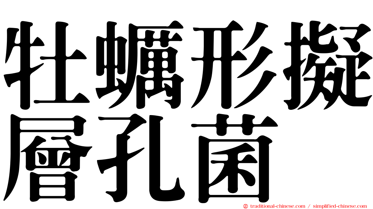 牡蠣形擬層孔菌
