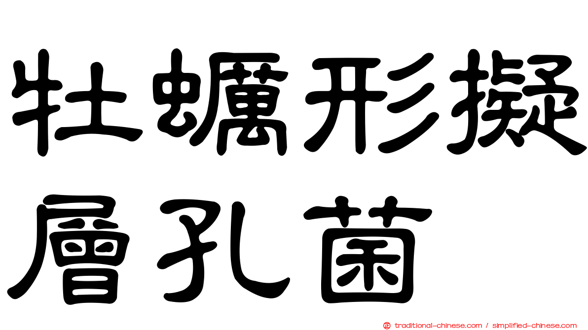 牡蠣形擬層孔菌