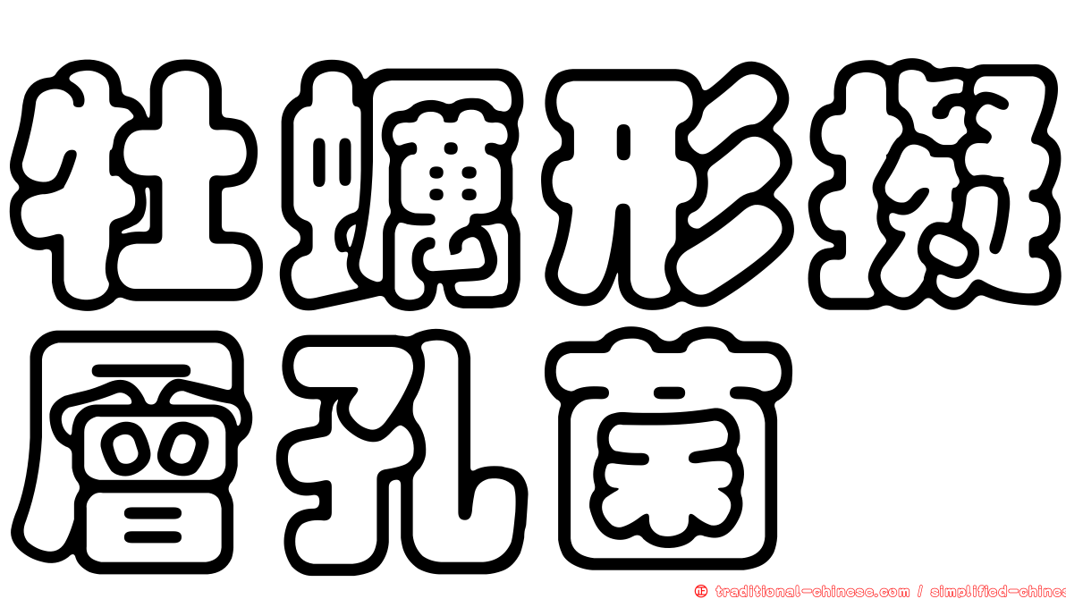 牡蠣形擬層孔菌