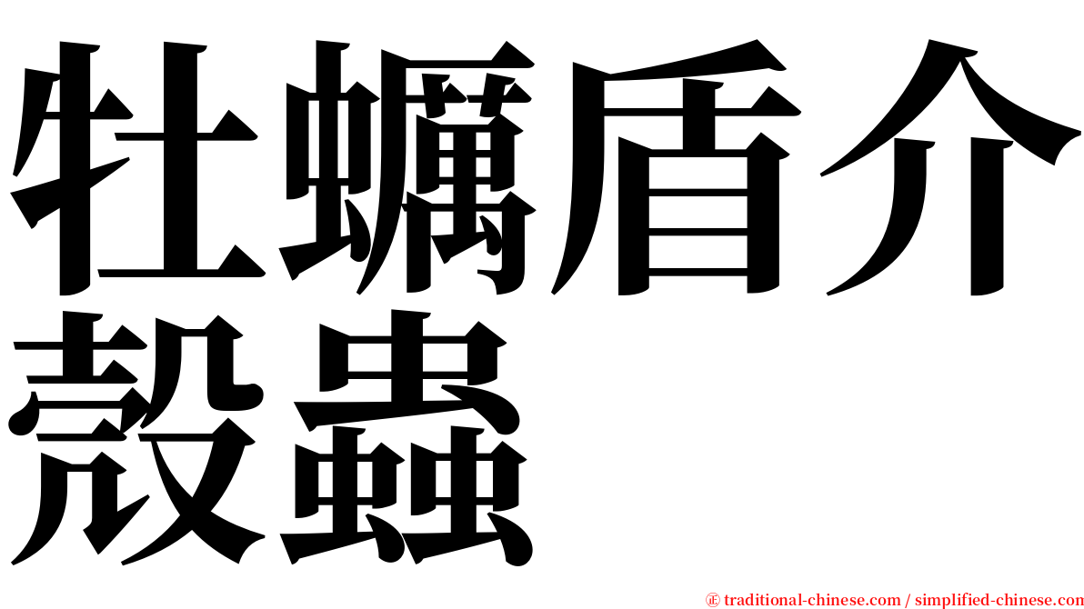牡蠣盾介殼蟲 serif font