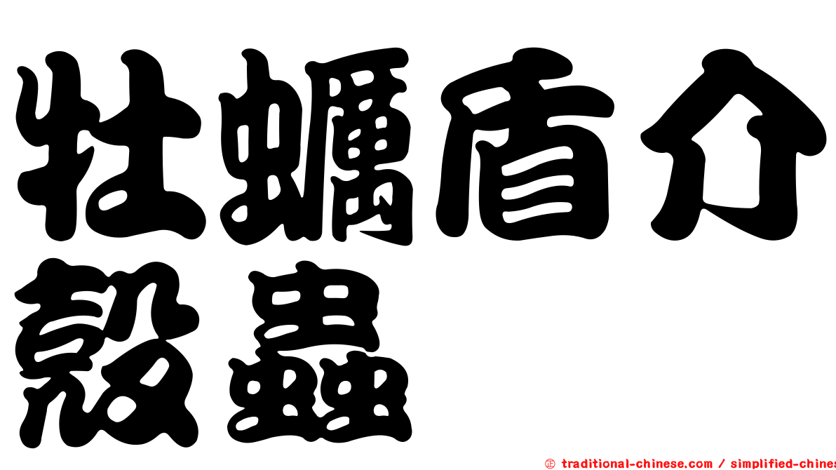 牡蠣盾介殼蟲