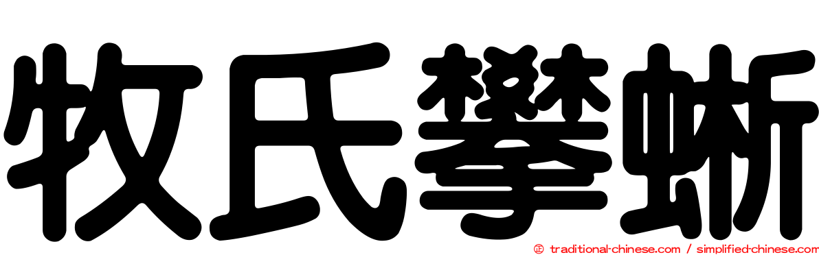 牧氏攀蜥