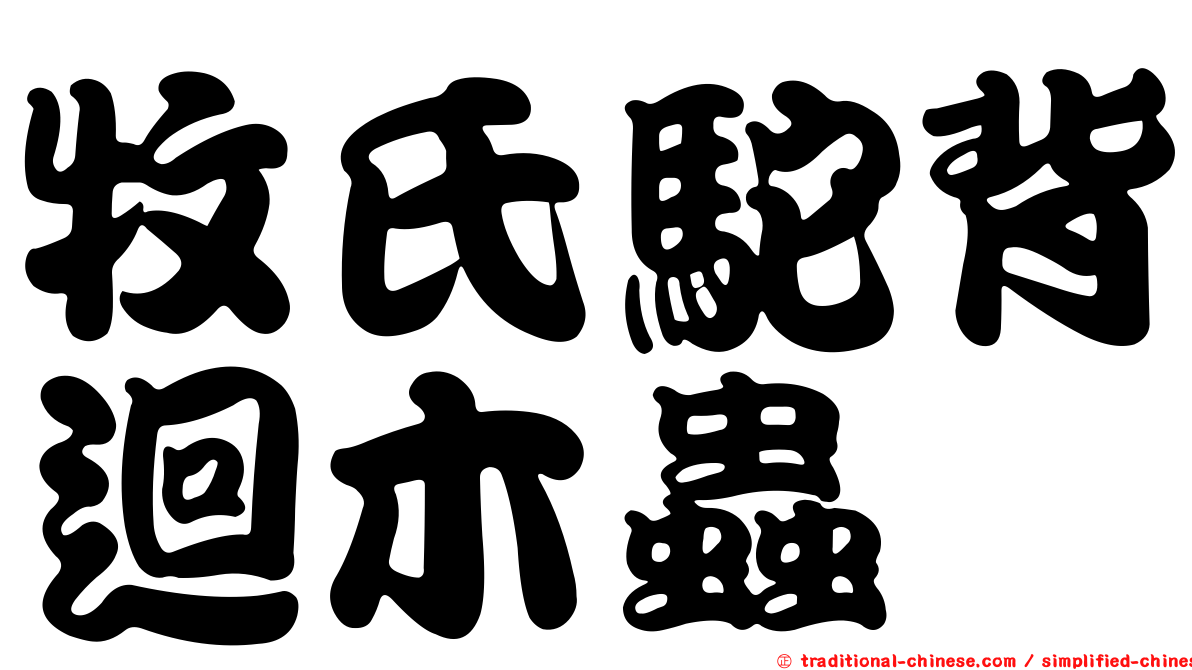 牧氏駝背迴木蟲