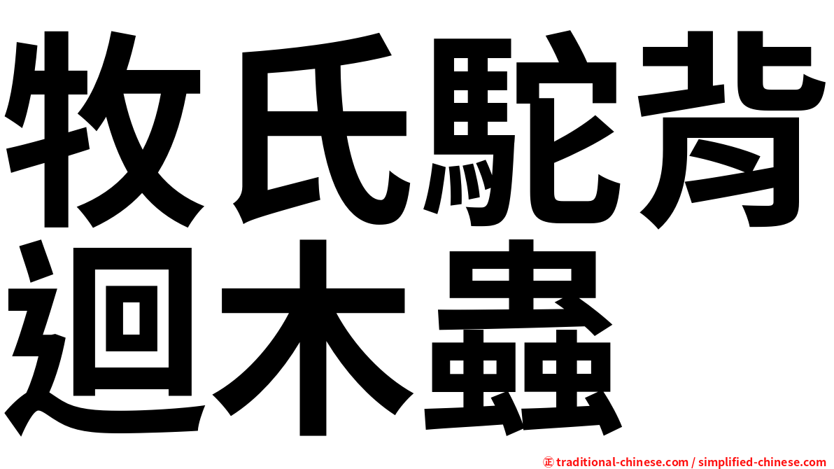 牧氏駝背迴木蟲