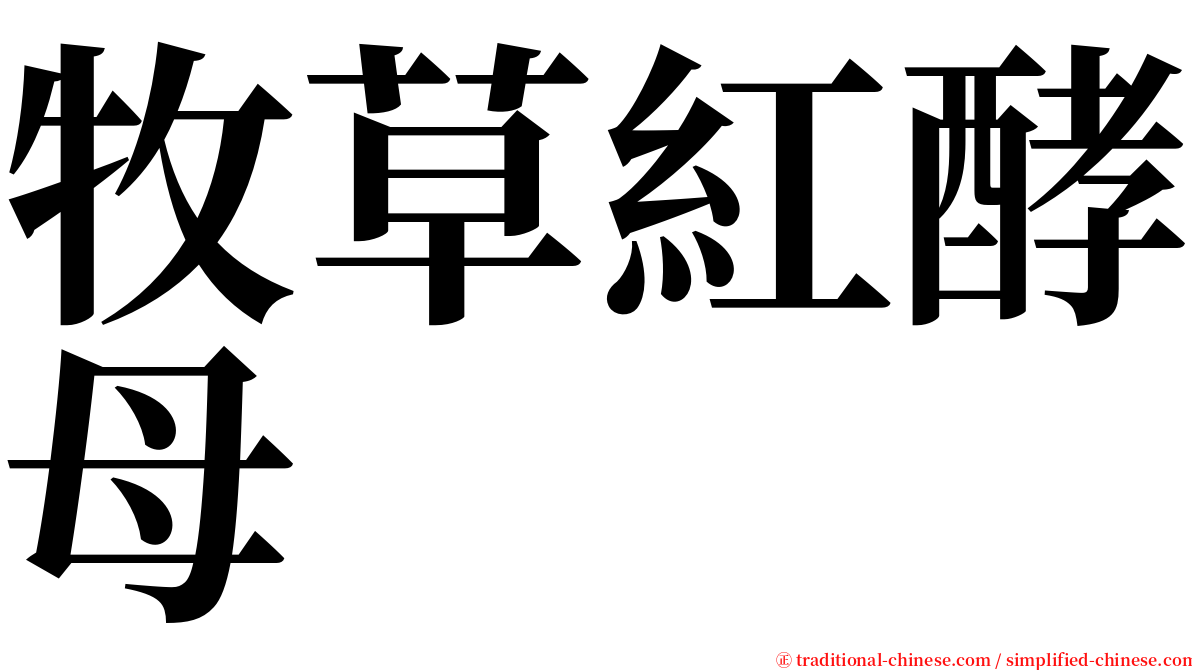 牧草紅酵母 serif font