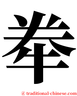 牶 serif font