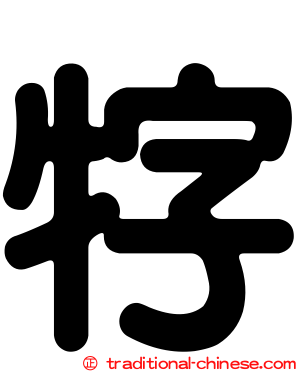 牸