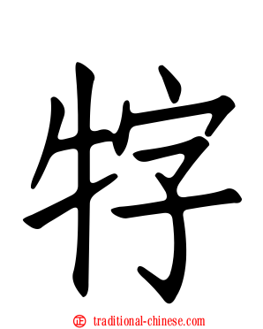 牸