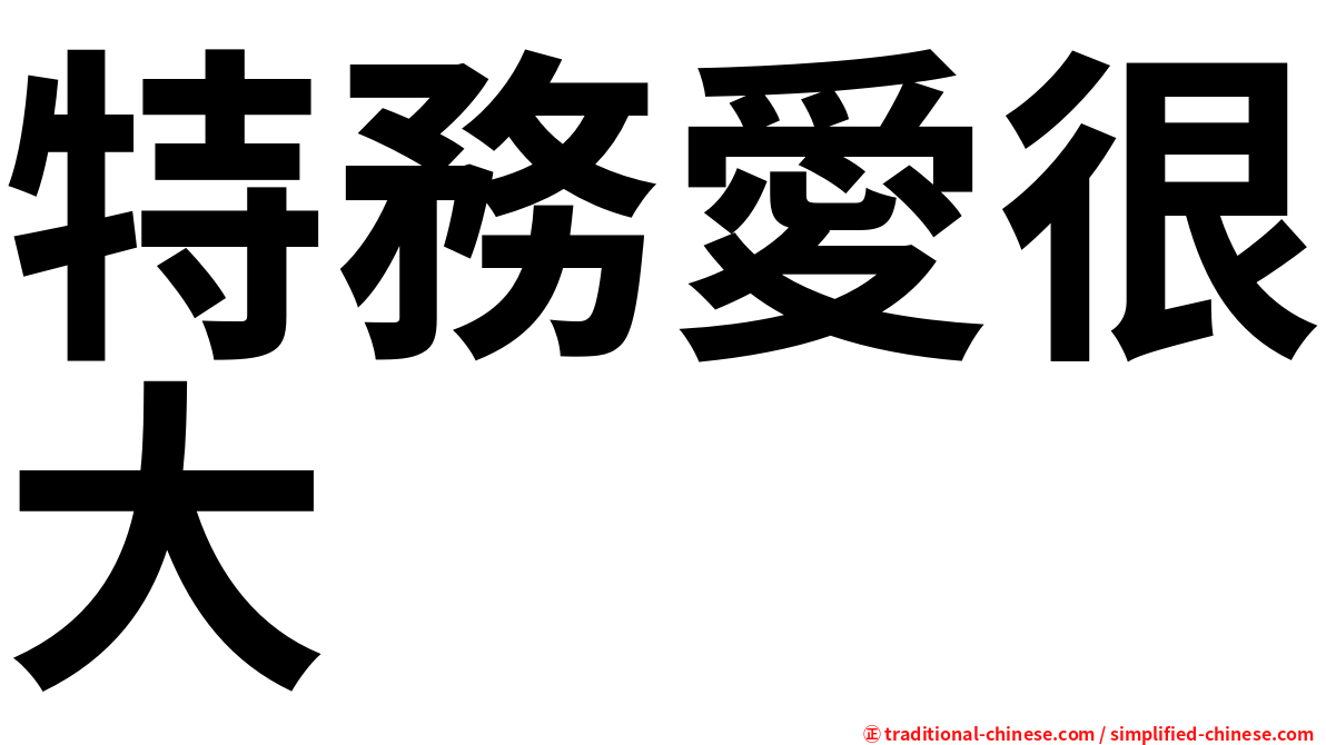 特務愛很大