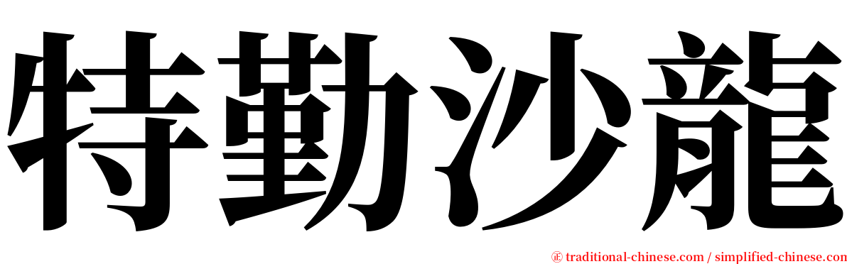 特勤沙龍 serif font