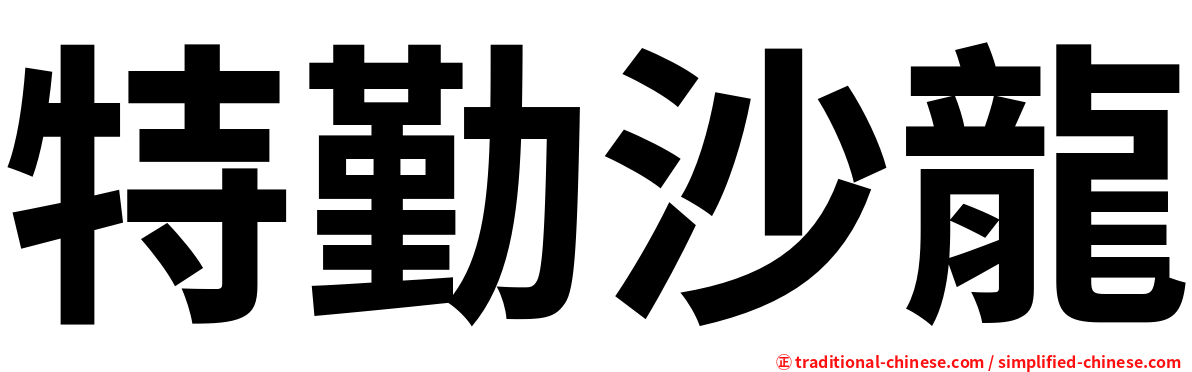 特勤沙龍