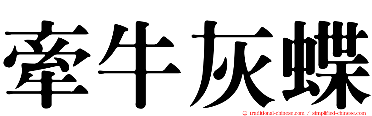 牽牛灰蝶