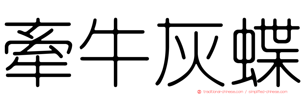 牽牛灰蝶