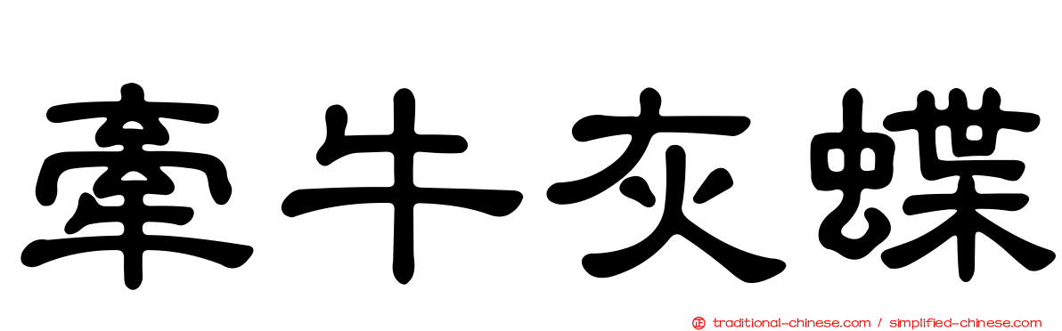 牽牛灰蝶