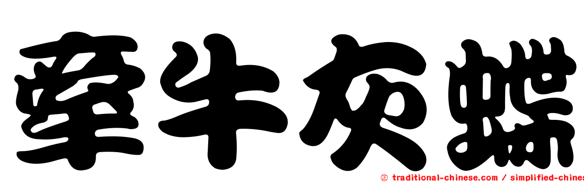 牽牛灰蝶