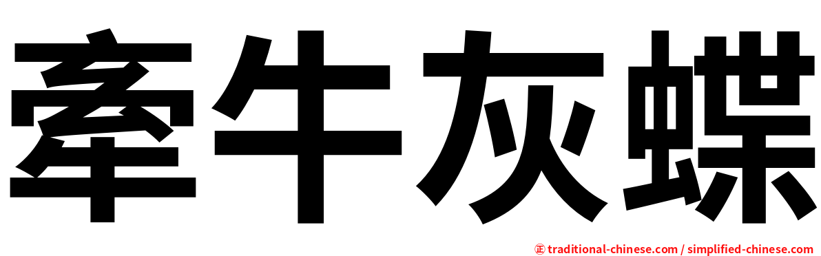 牽牛灰蝶